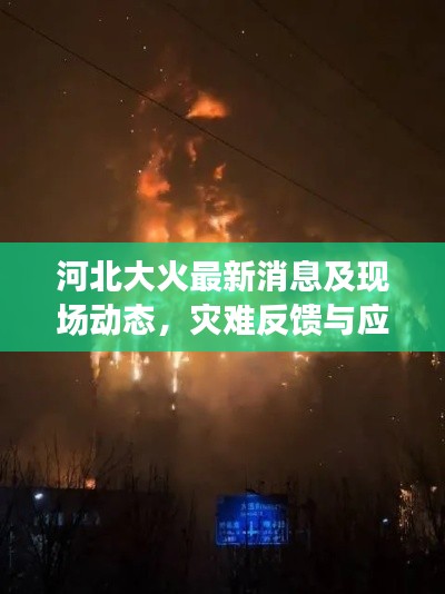 河北大火最新消息及现场动态,灾难反馈与应对举措实时更新