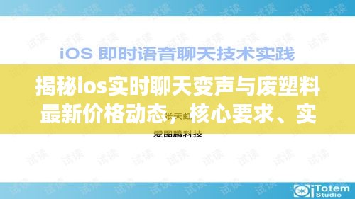 揭秘ios实时聊天变声与废塑料最新价格动态,核心要求、实现路径与虚假宣传防范
