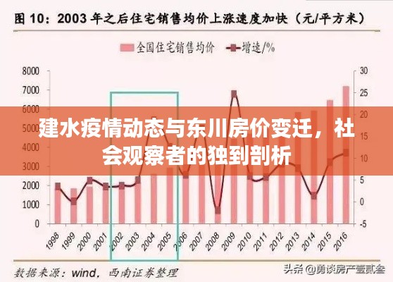 建水疫情动态与东川房价变迁,社会观察者的独到剖析