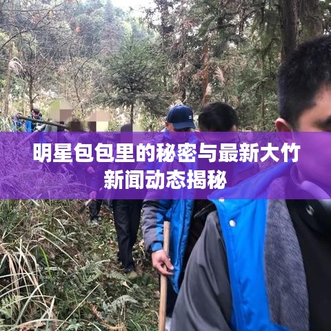 明星包包里的秘密与最新大竹新闻动态揭秘
