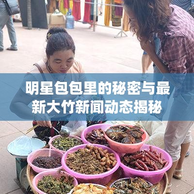 明星包包里的秘密与最新大竹新闻动态揭秘