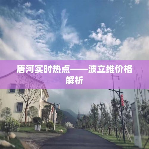 唐河实时热点——波立维价格解析