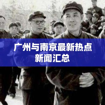 广州与南京最新热点新闻汇总