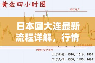 日本回大连最新流程详解,行情实时刷新