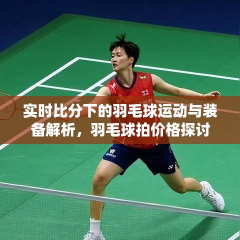 实时比分下的羽毛球运动与装备解析,羽毛球拍价格探讨