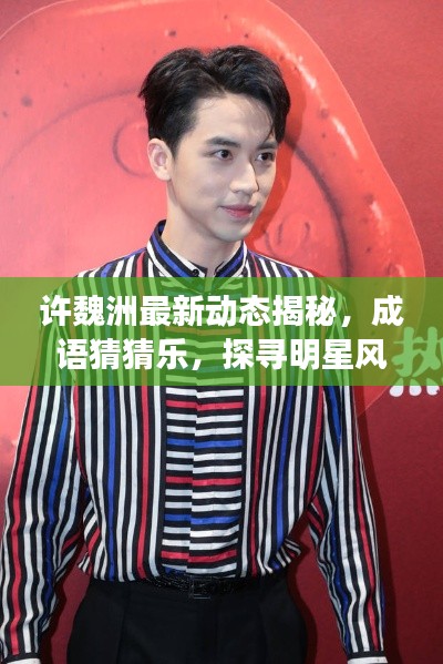 许魏洲最新动态揭秘，成语猜猜乐，探寻明星风采的别样方式。