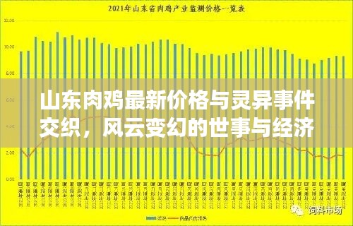 山东肉鸡最新价格与灵异事件交织,风云变幻的世事与经济风云解析