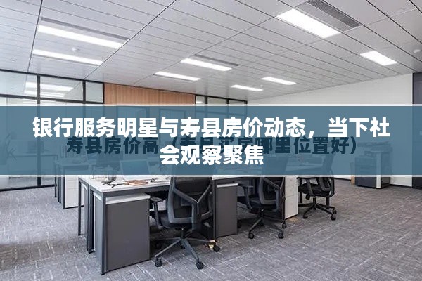 银行服务明星与寿县房价动态,当下社会观察聚焦