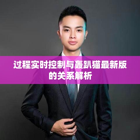 过程实时控制与轰趴猫最新版的关系解析
