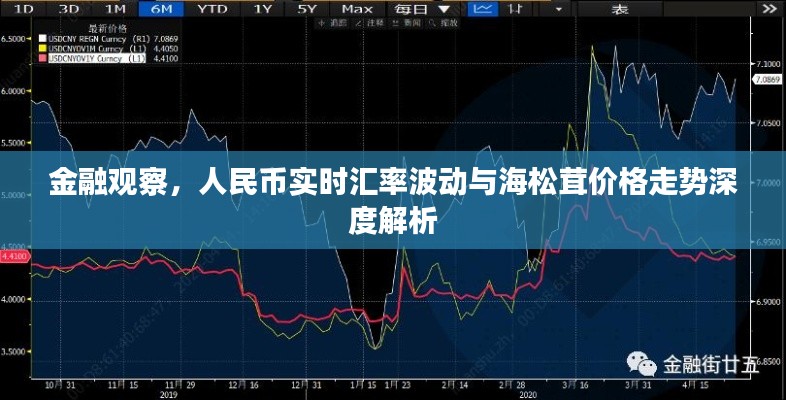 金融观察,人民币实时汇率波动与海松茸价格走势深度解析