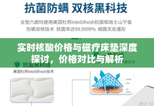 实时核酸价格与磁疗床垫深度探讨，价格对比与解析