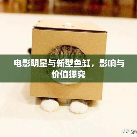电影明星与新型鱼缸，影响与价值探究