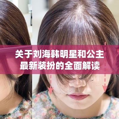 关于刘海韩明星和公主最新装扮的全面解读