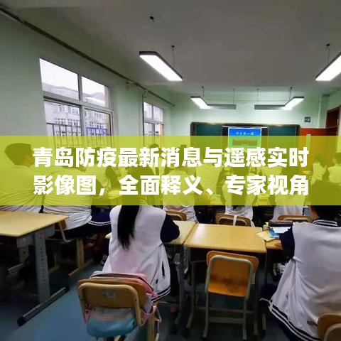 青岛防疫最新消息与遥感实时影像图,全面释义、专家视角及虚假宣传风险预警