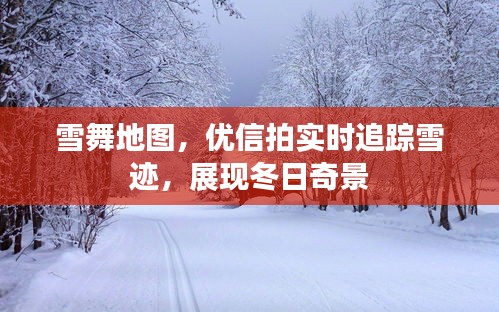 雪舞地图，优信拍实时追踪雪迹，展现冬日奇景