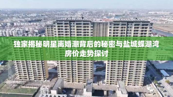 独家揭秘明星离婚潮背后的秘密与盐城蝶湖湾房价走势探讨