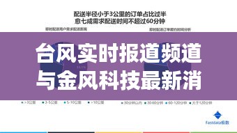 台风实时报道频道与金风科技最新消息的全面解读与警示分析