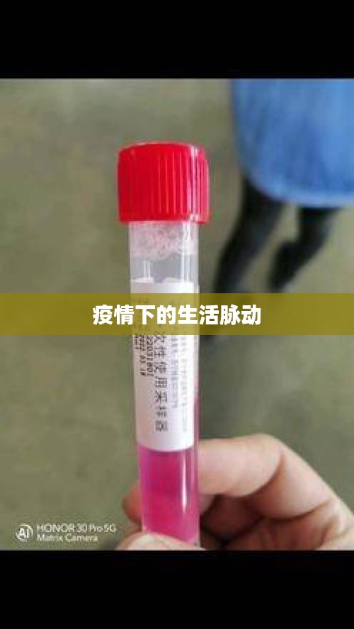 疫情下的生活脉动