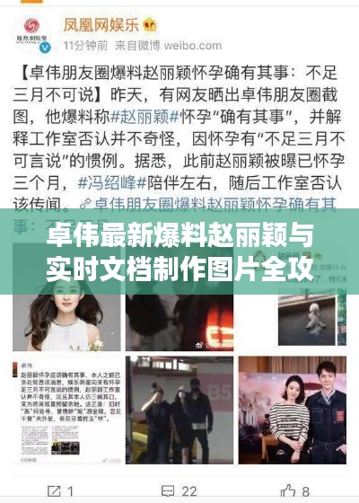 卓伟最新爆料赵丽颖与实时文档制作图片全攻略揭秘