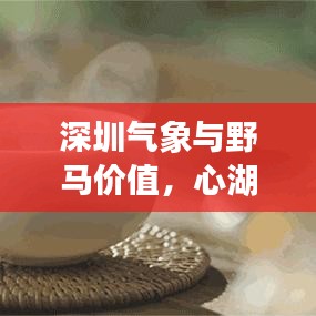 深圳气象与野马价值,心湖微澜的散文探索