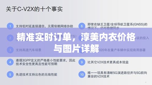 精准实时订单，淳美内衣价格与图片详解
