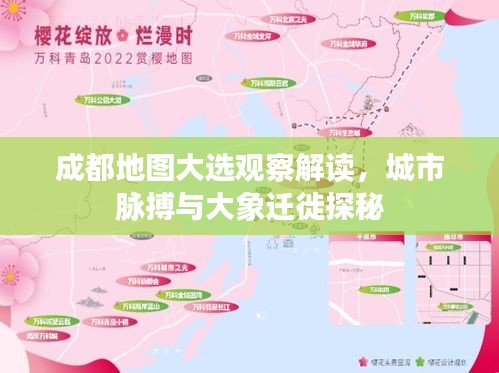 成都地图大选观察解读,城市脉搏与大象迁徙探秘