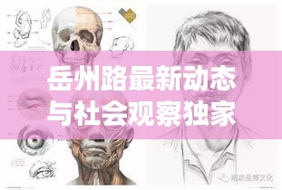 岳州路最新动态与社会观察独家解析,实时分析与独到见解