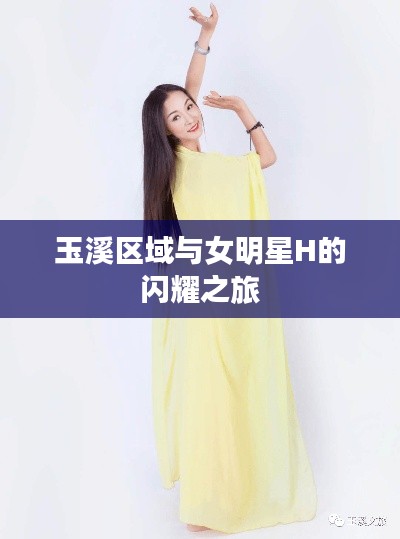 玉溪区域与女明星H的闪耀之旅