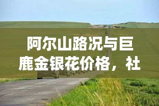 阿尔山路况与巨鹿金银花价格,社会观察者的独到解读