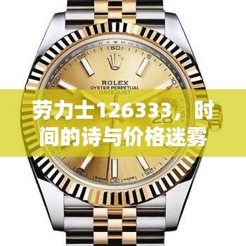 劳力士126333，时间的诗与价格迷雾