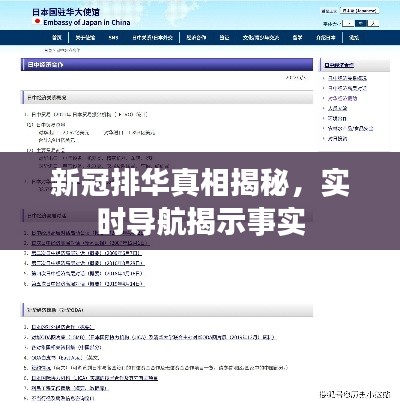 新冠排华真相揭秘,实时导航揭示事实