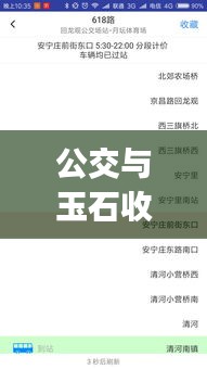 公交与玉石收藏，一站式App满足出行与收藏需求