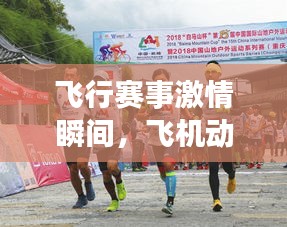 飞行赛事激情瞬间，飞机动态与比赛双重精彩回顾