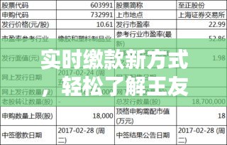 实时缴款新方式，轻松了解王友石价格