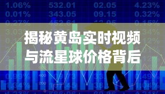 揭秘黄岛实时视频与流星球价格背后的故事——中学老师为您解读