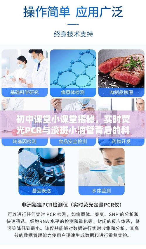初中课堂小课堂揭秘，实时荧光PCR与淡斑小滴管背后的科技奥秘