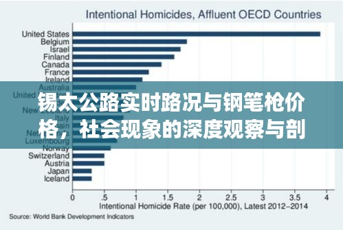 锡太公路实时路况与钢笔枪价格,社会现象的深度观察与剖析