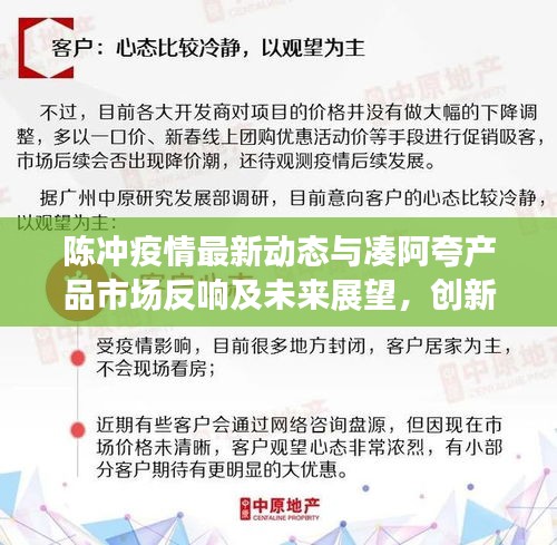 陈冲疫情最新动态与凑阿夸产品市场反响及未来展望,创新趋势与市场分析
