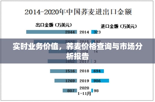 实时业务价值,荞麦价格查询与市场分析报告