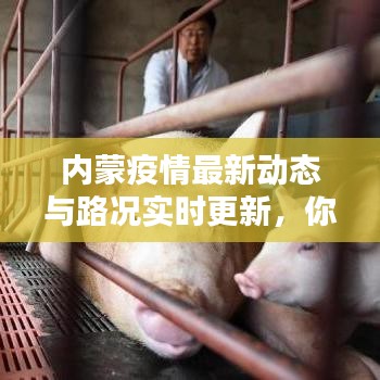 内蒙疫情最新动态与路况实时更新，你所关心的全面汇总！