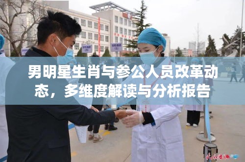 男明星生肖与参公人员改革动态,多维度解读与分析报告