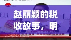 赵丽颖的税收故事,明星八卦与税控新接口的焦点话题