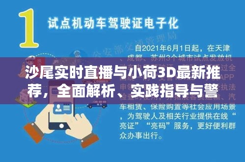 沙尾实时直播与小荷3D最新推荐，全面解析、实践指导与警示提示
