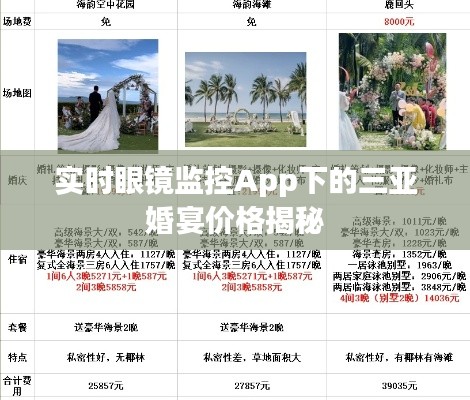 实时眼镜监控App下的三亚婚宴价格揭秘