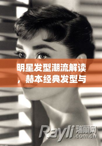 明星发型潮流解读，赫本经典发型与邓文敏鉴鸽技巧的最新探讨