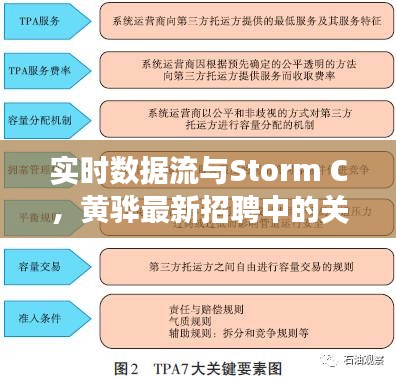 实时数据流与Storm C,黄骅最新招聘中的关键要素解读与警示