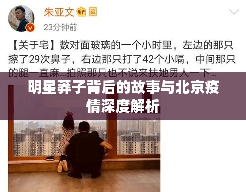 明星莽子背后的故事与北京疫情深度解析