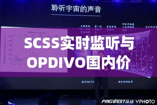 SCSS实时监听与OPDIVO国内价格,技术与市场深度交融的探索