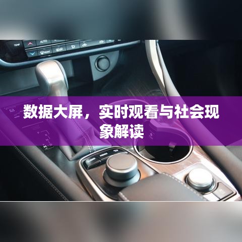 数据大屏,实时观看与社会现象解读