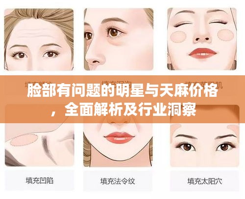 脸部有问题的明星与天麻价格,全面解析及行业洞察
